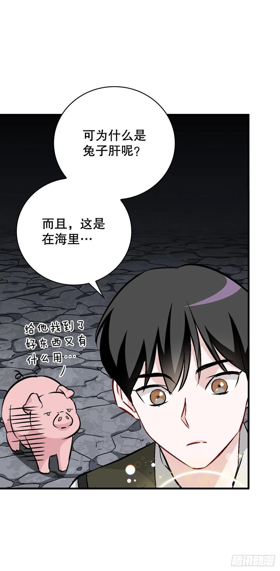 70.兔子肝37