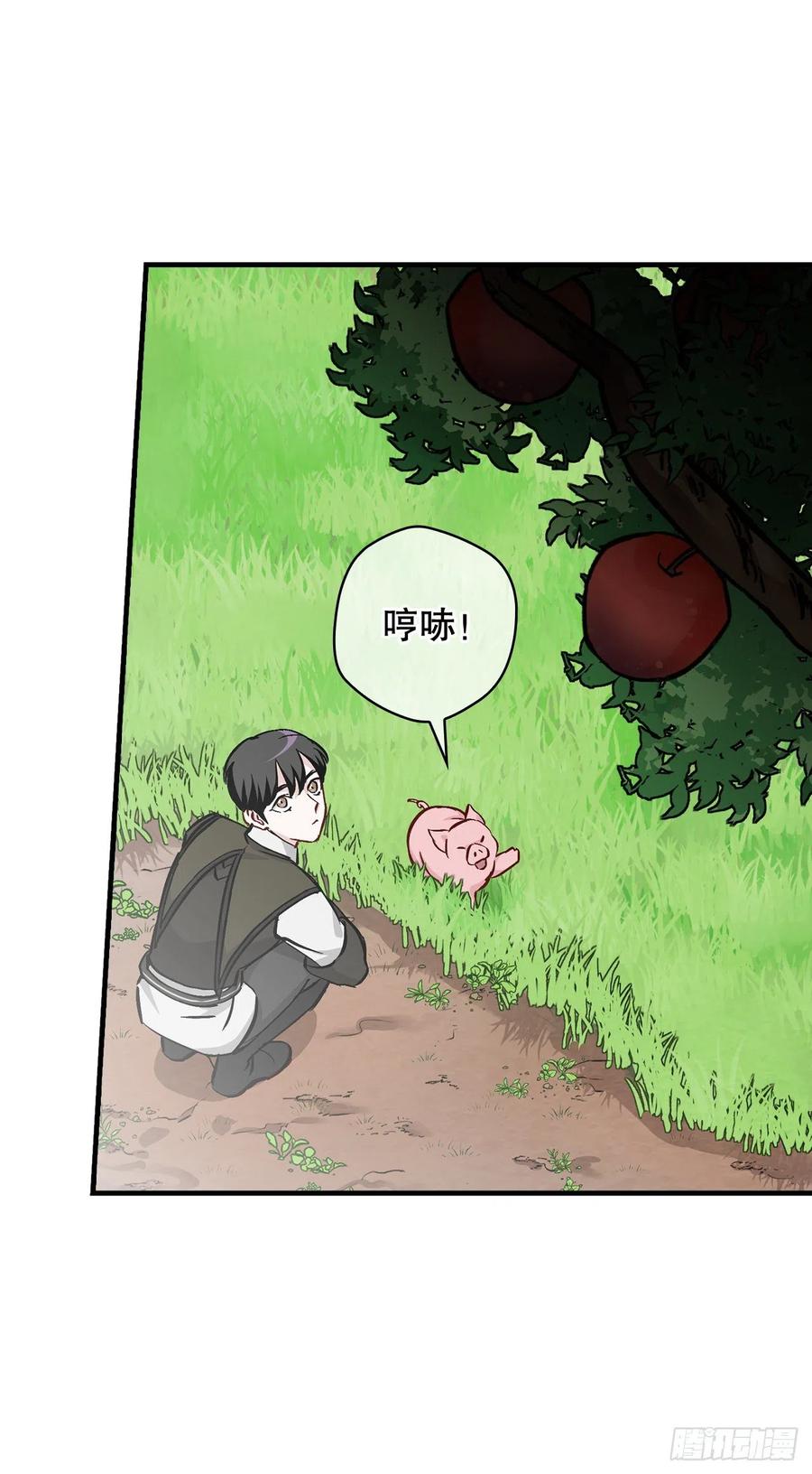55.选择宠物62