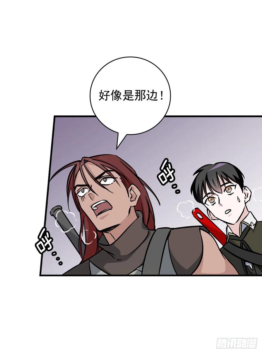 44.千年何首乌22