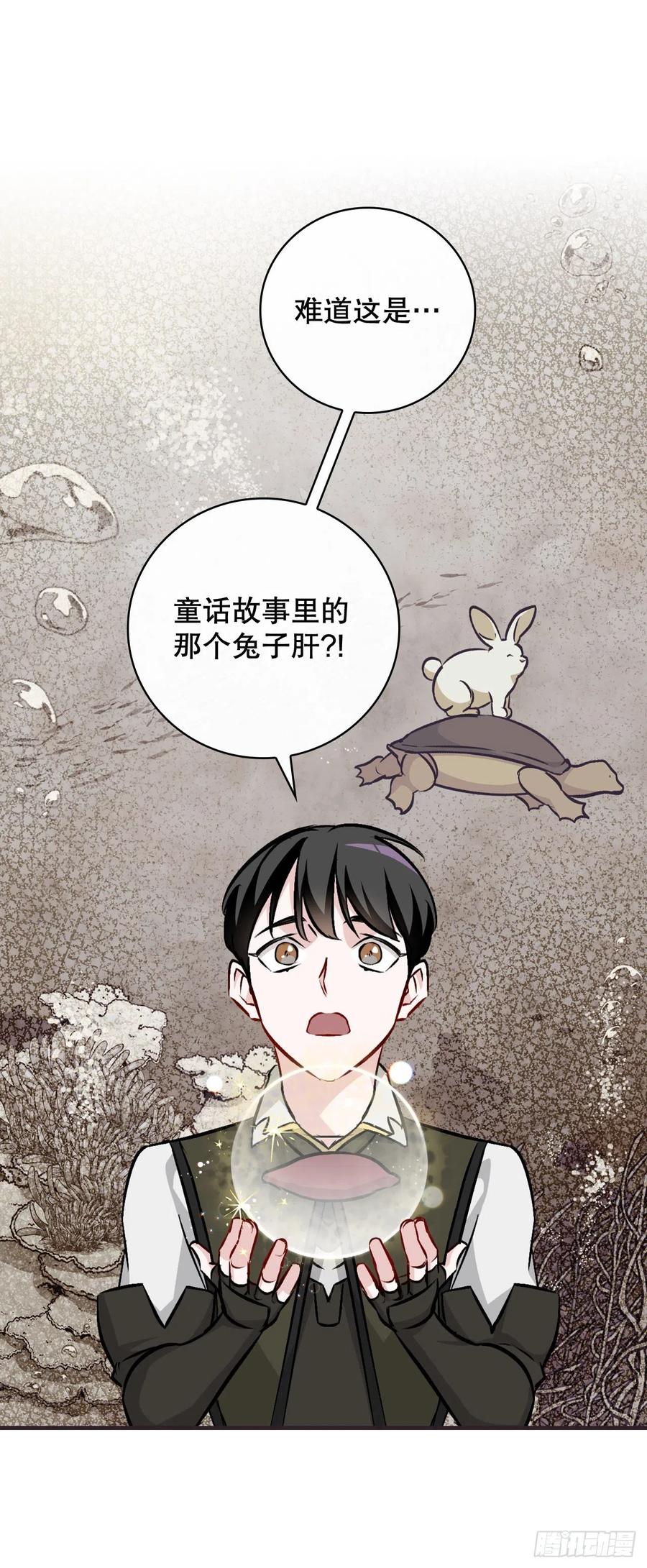 70.兔子肝38