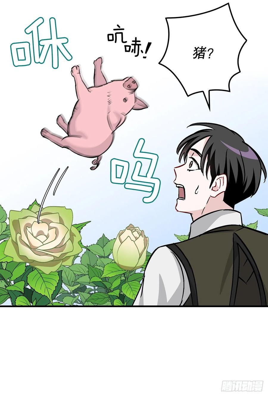 52.不知名的种子43
