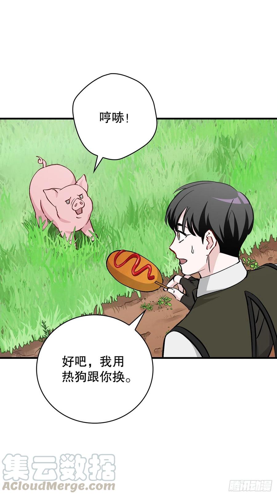 55.选择宠物66