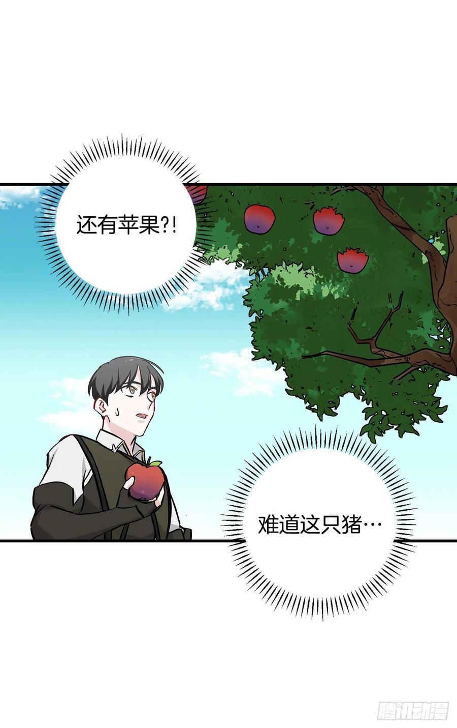 55.选择宠物64