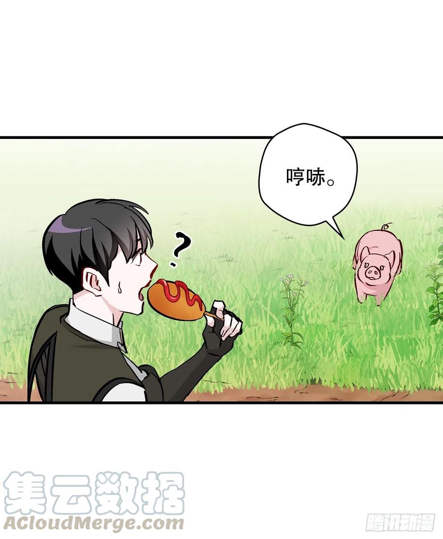 55.选择宠物45
