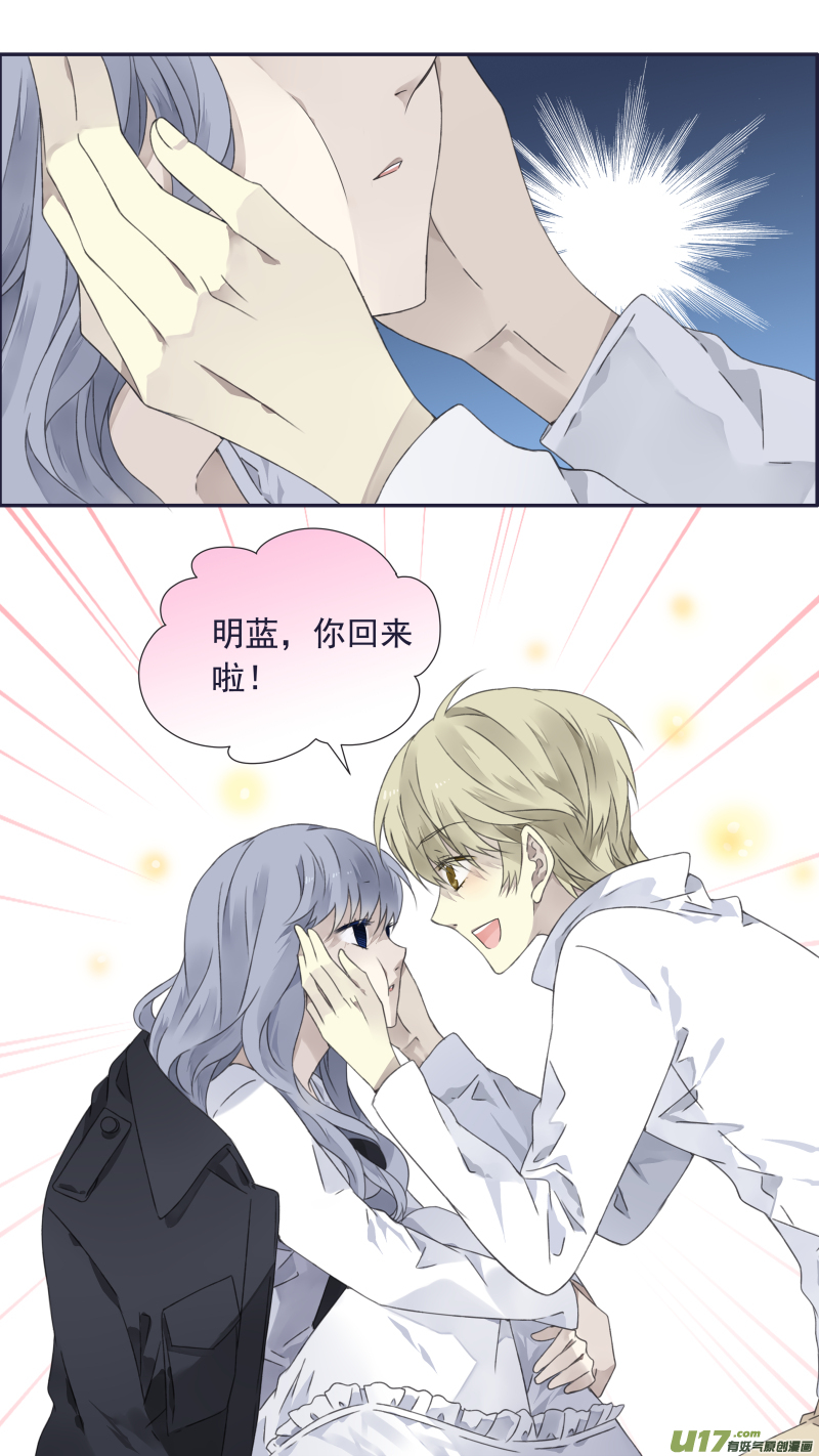 蓝翅猫咪版2