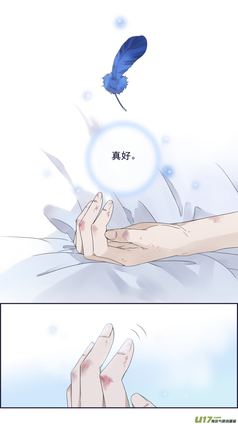 蓝翅猫咪版16