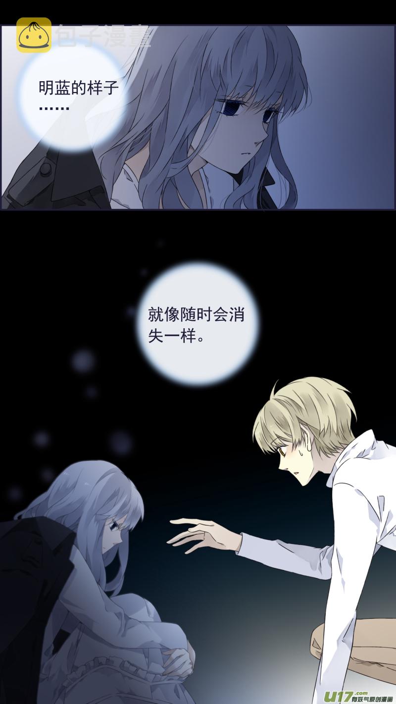 蓝翅猫咪版1