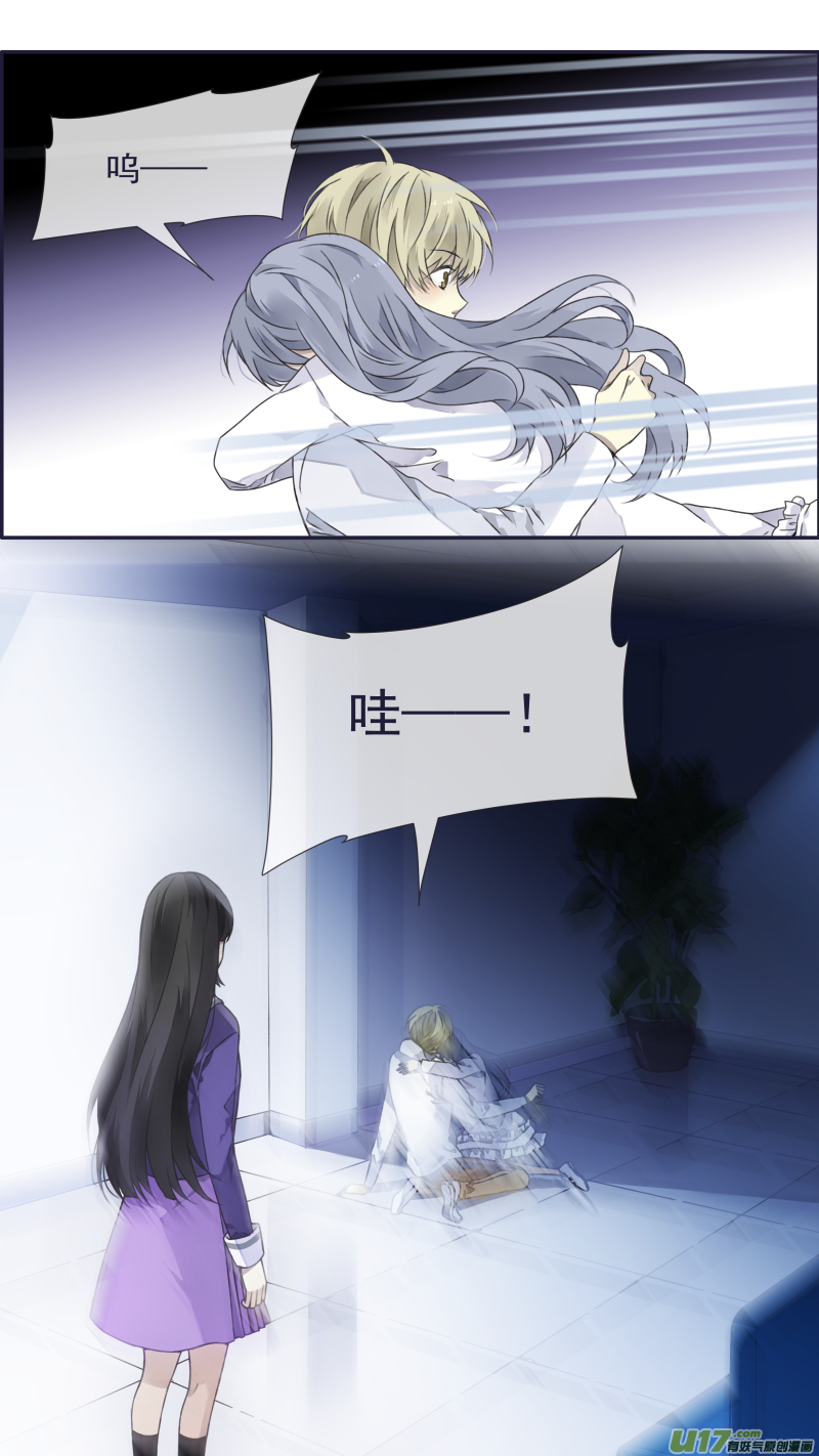 蓝翅猫咪版6