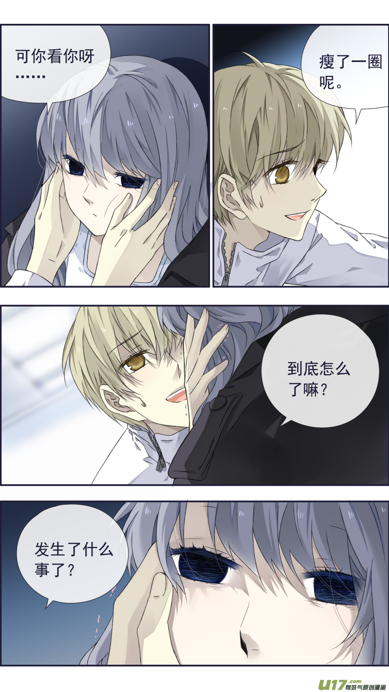 蓝翅猫咪版4