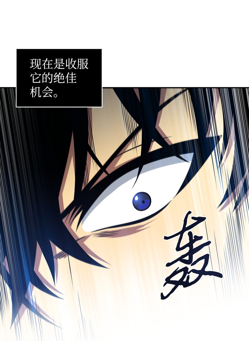 300 服从训练13
