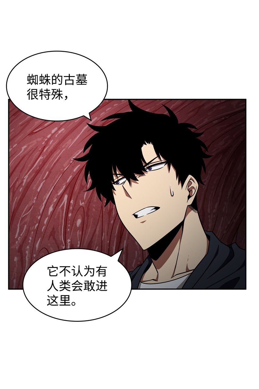 314 倔强的蜘蛛28