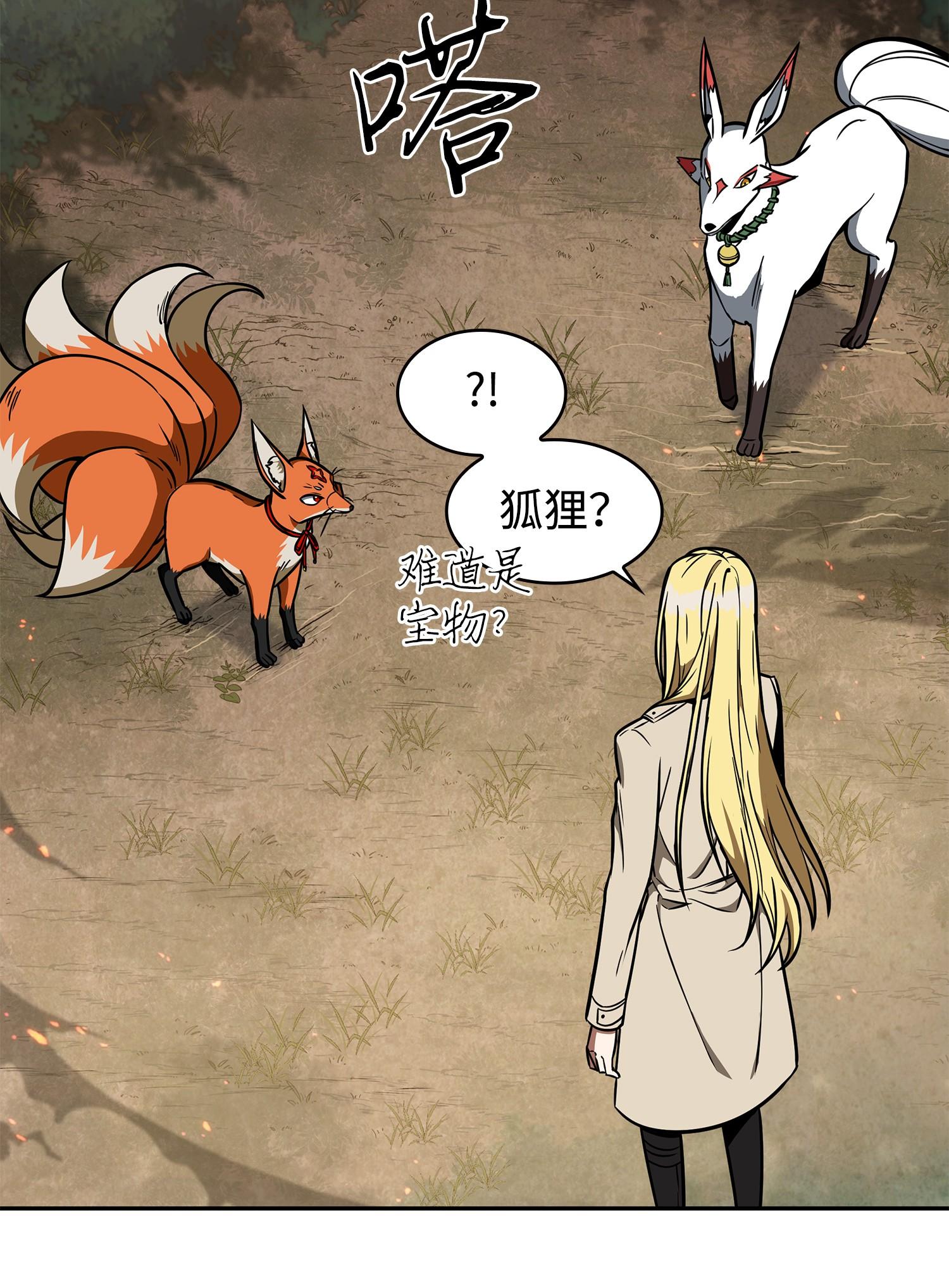 242 至宝11