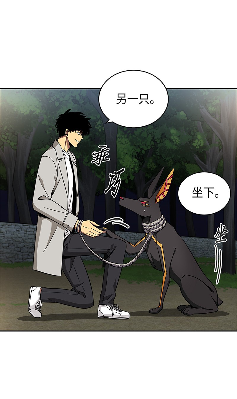 076 训练狗狗25