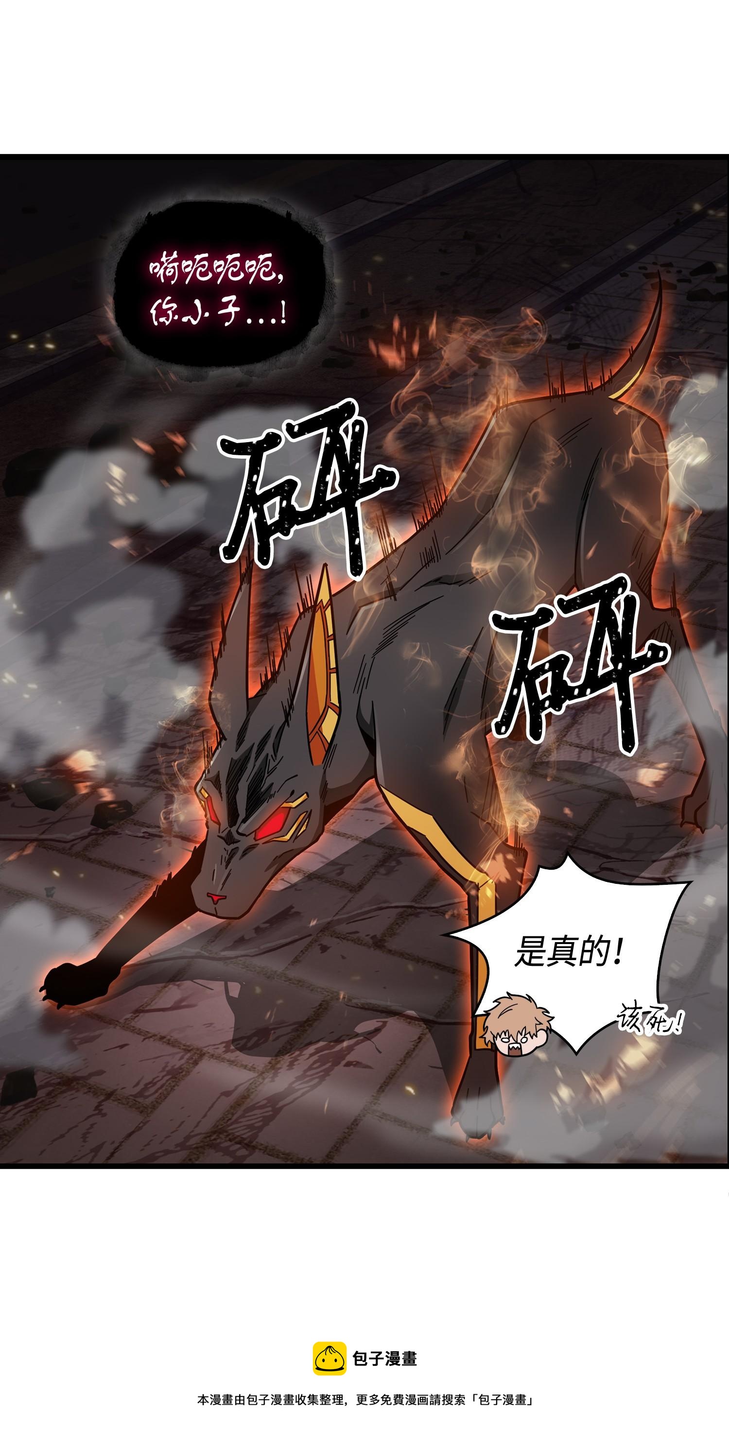 147 伪装84