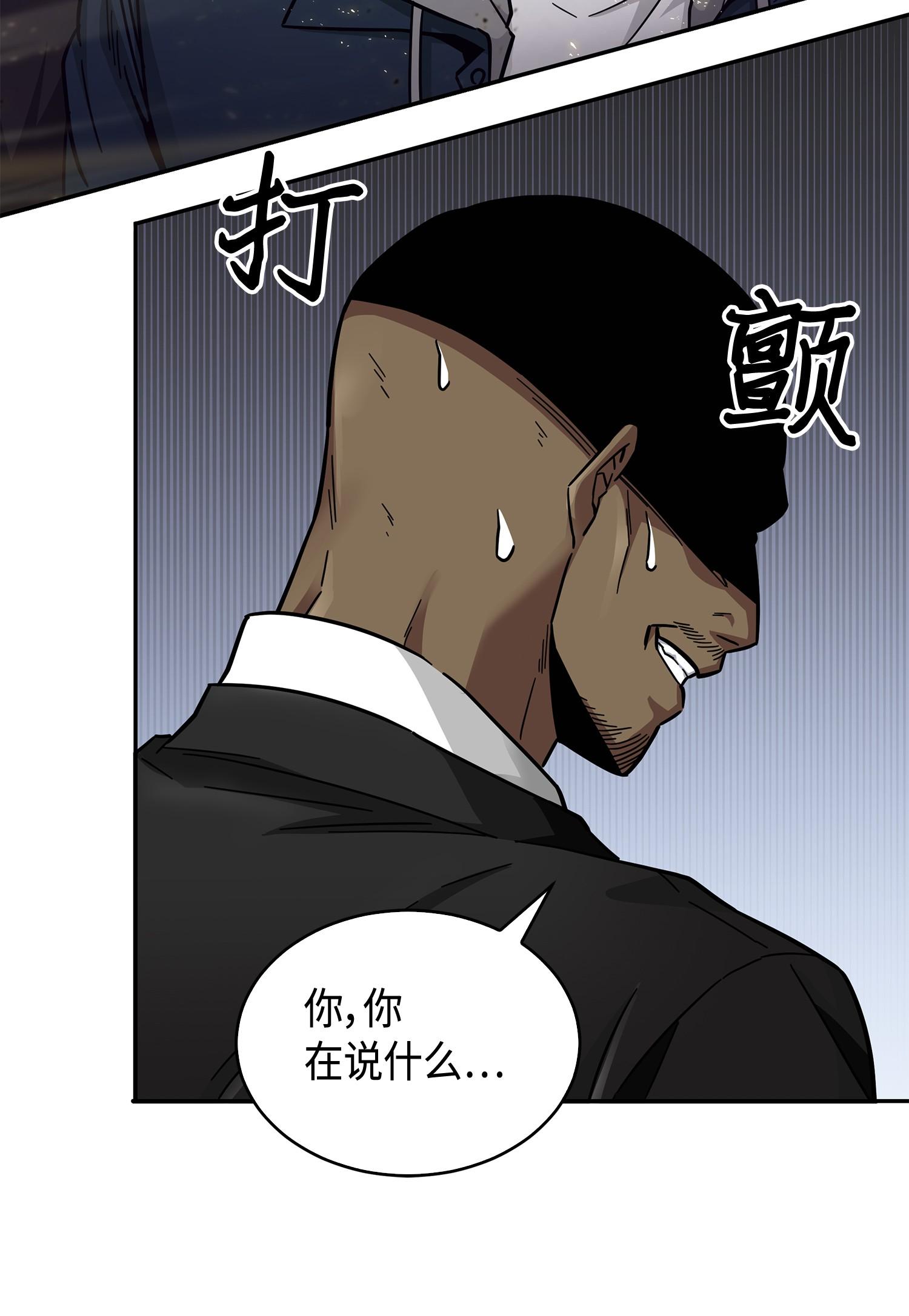 147 伪装79