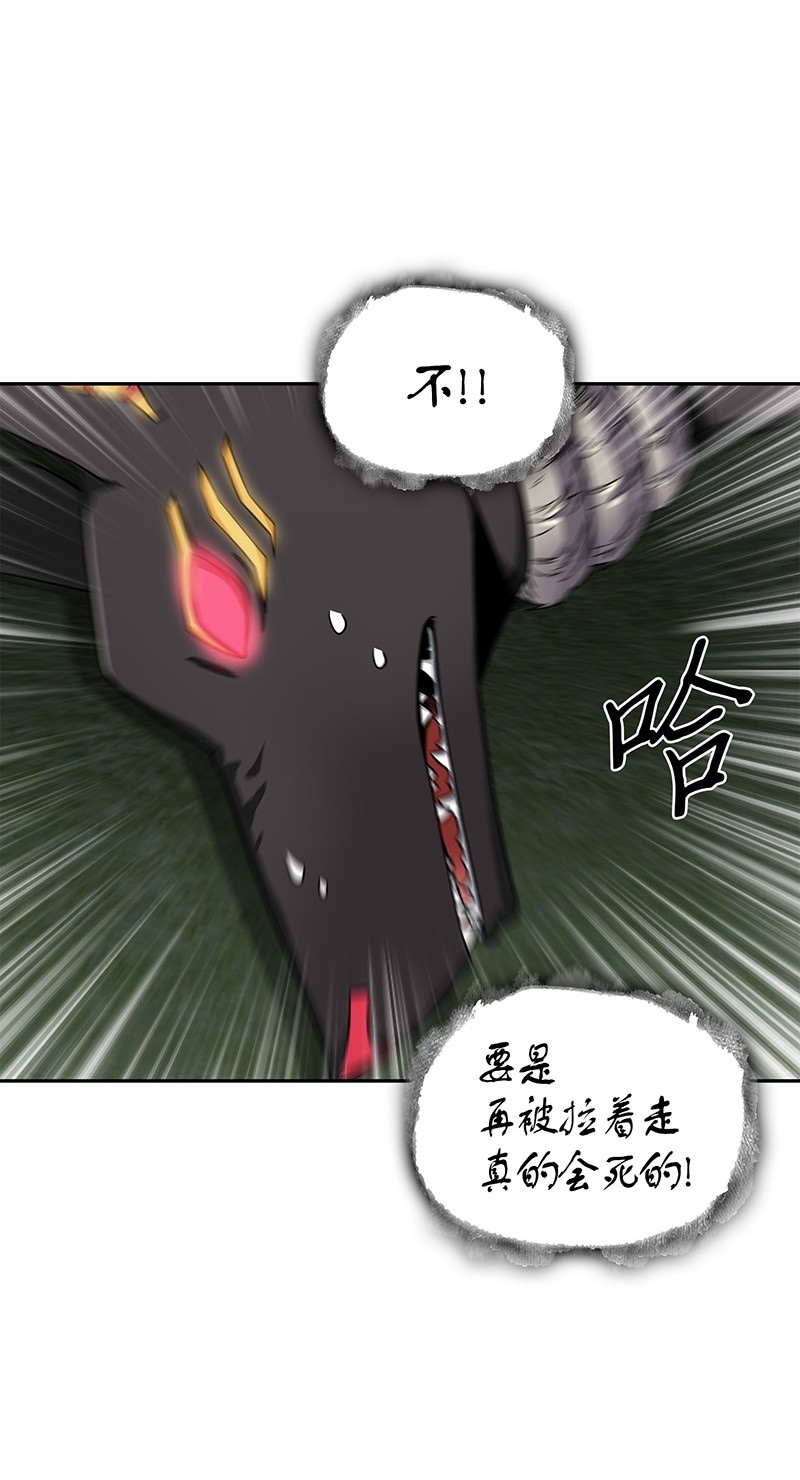 076 训练狗狗32