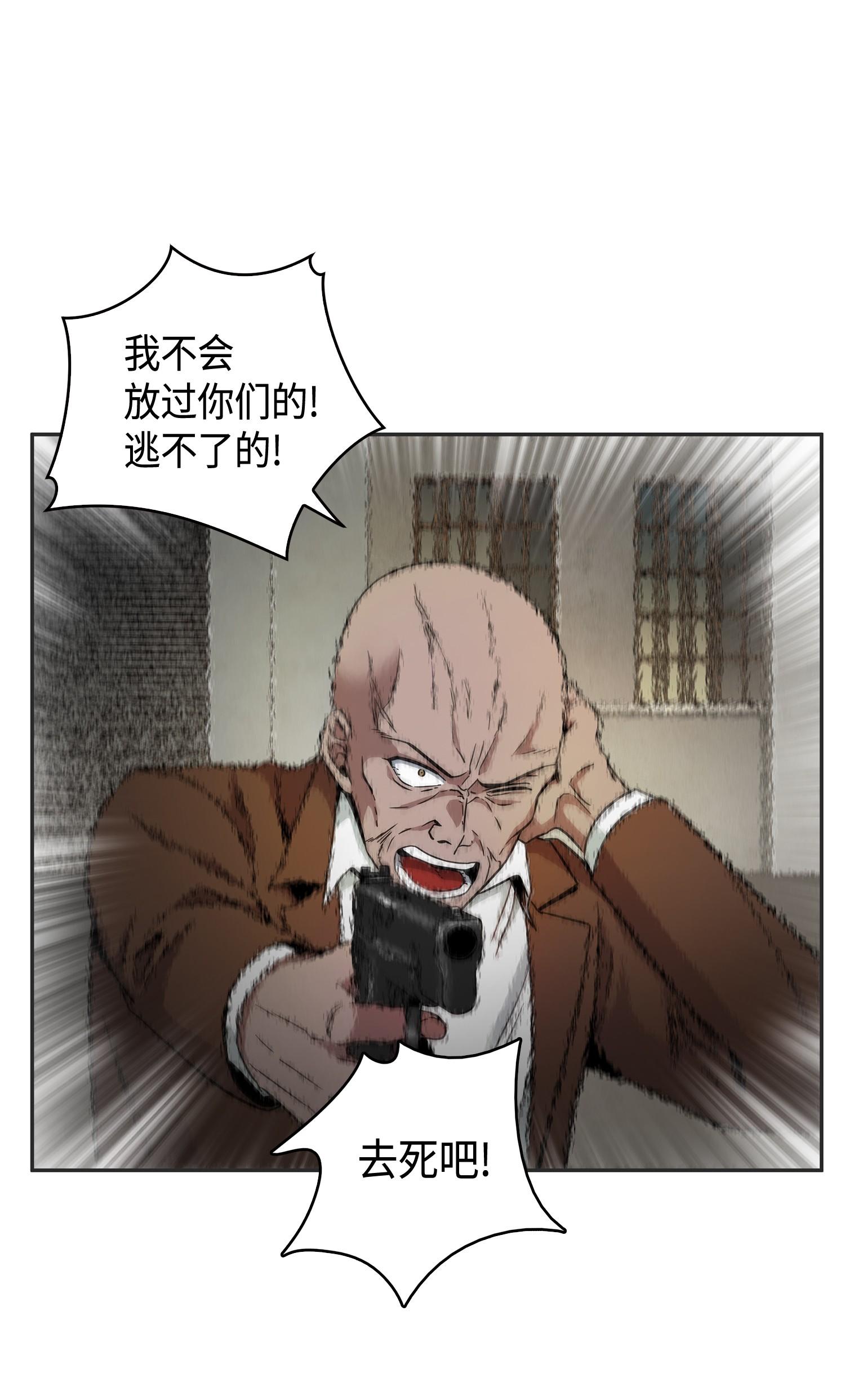 113 反击里查德67
