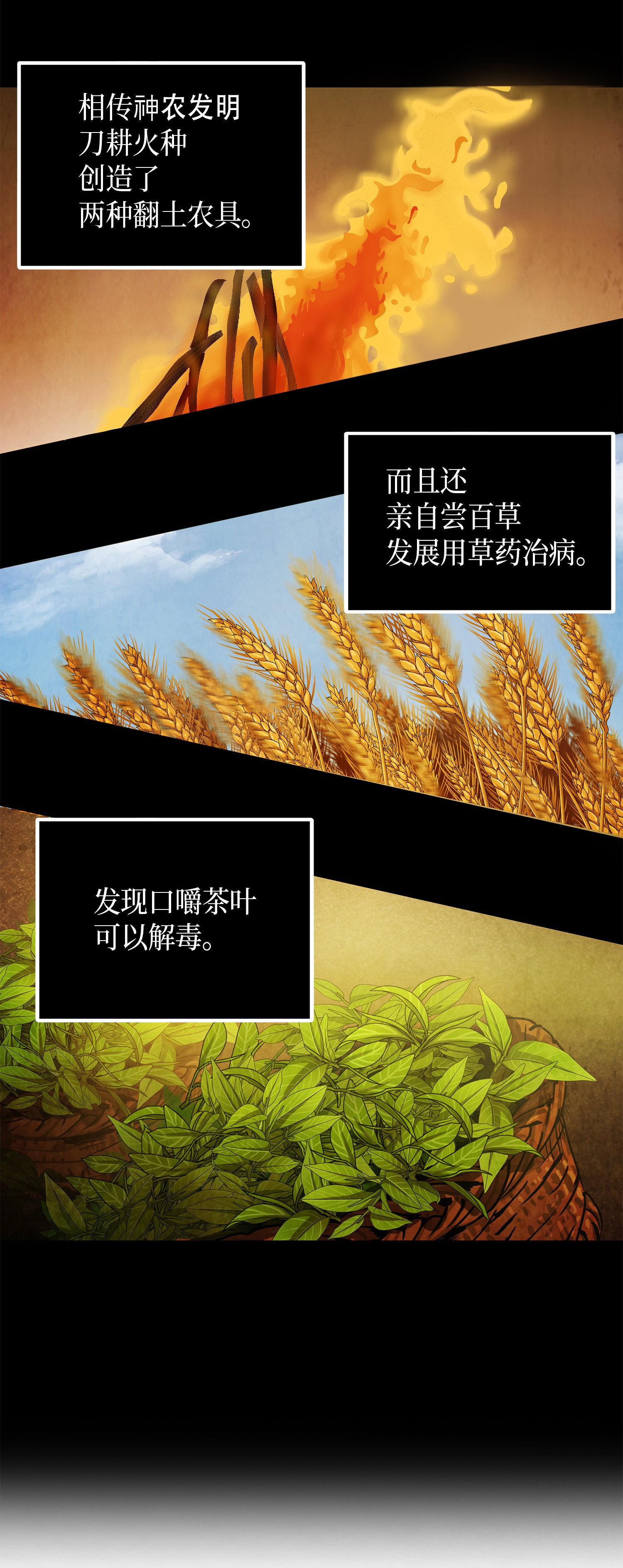 061 神农之宝物58