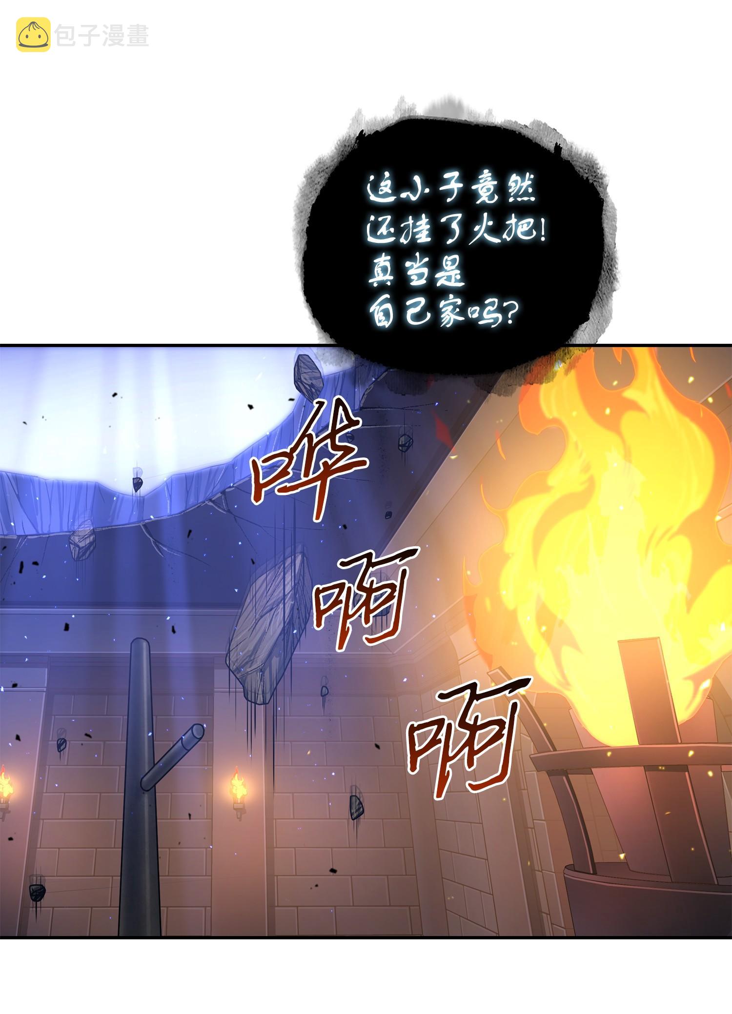 247 乌鸦的目的5