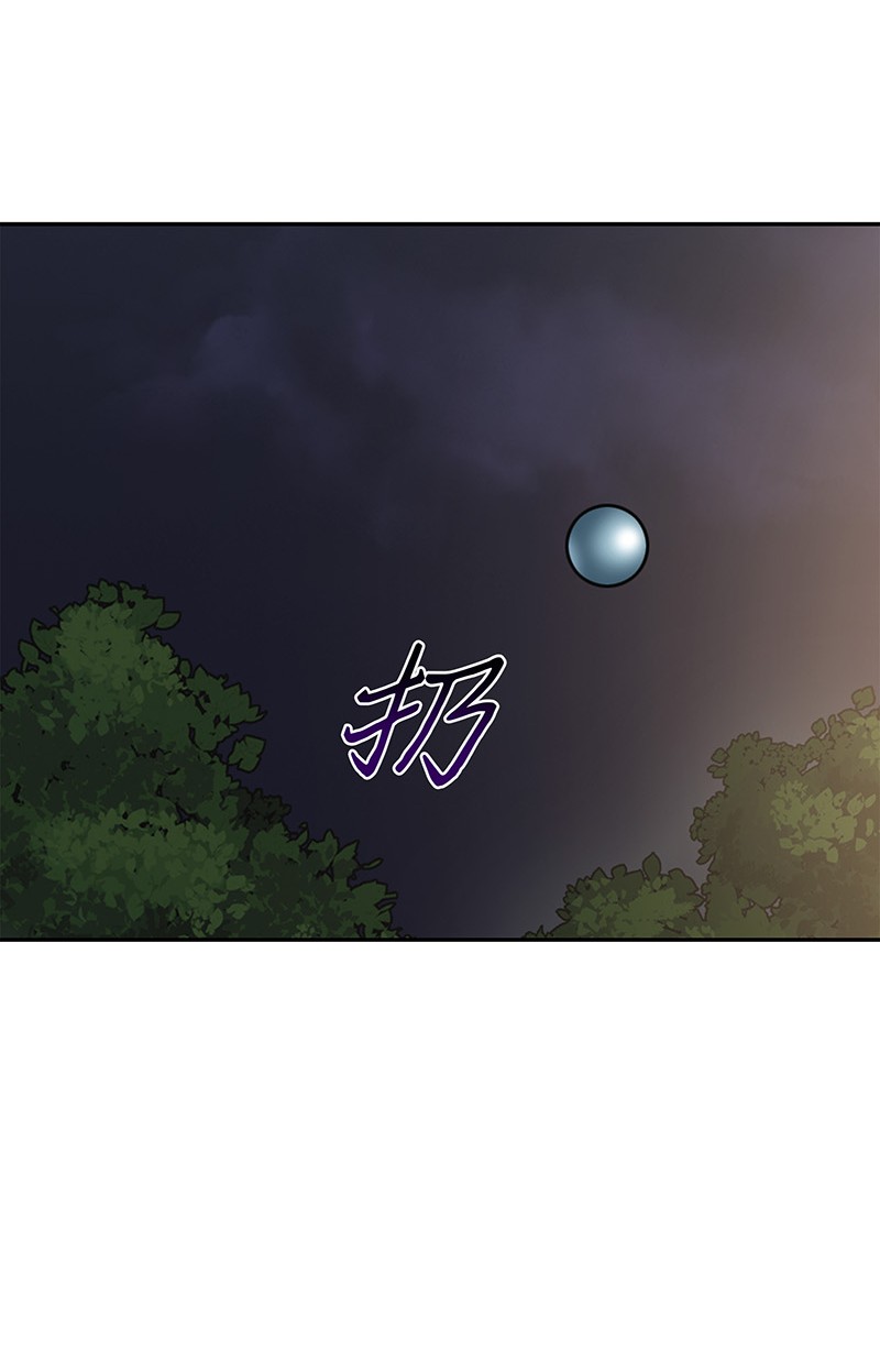 076 训练狗狗33