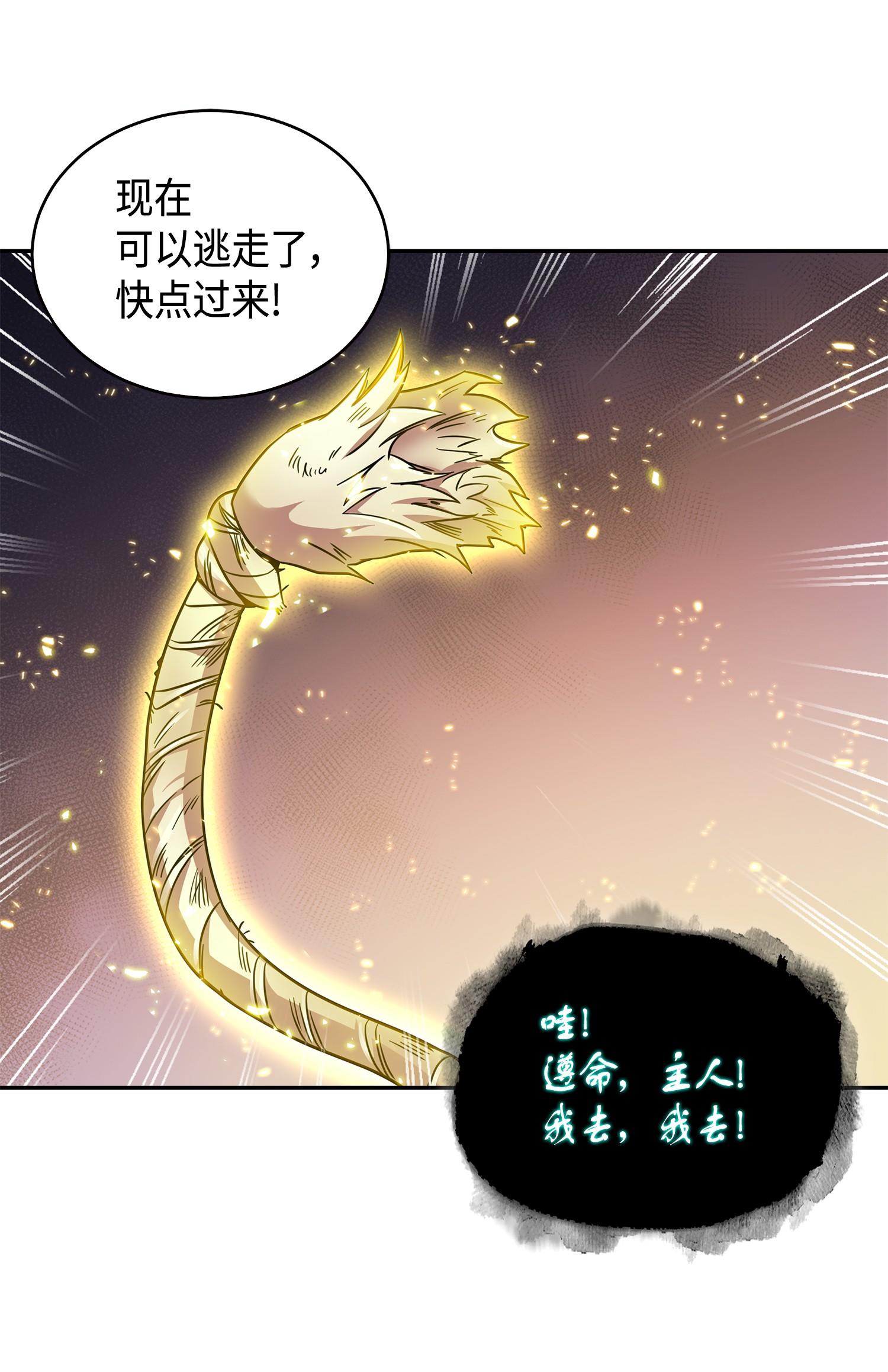 129 宝物升级50