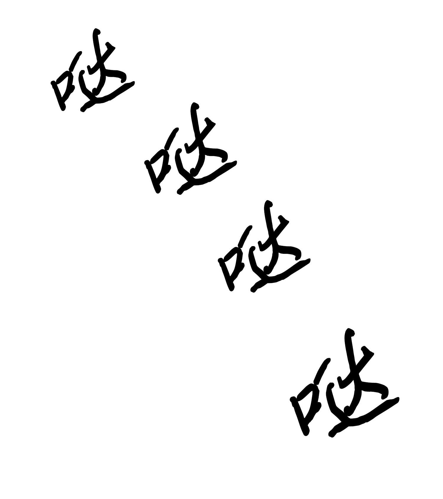 188 探知王29