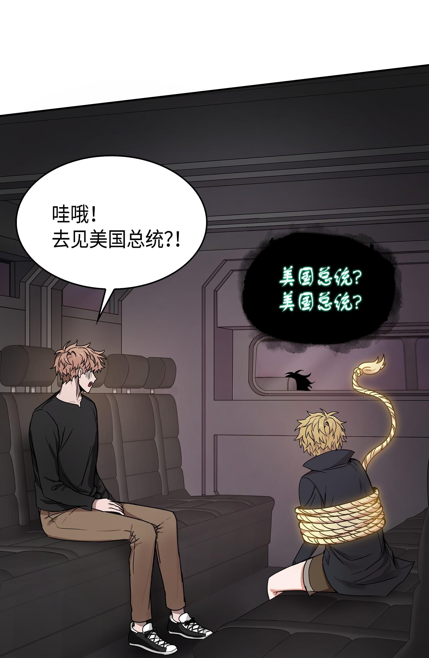 147 伪装45
