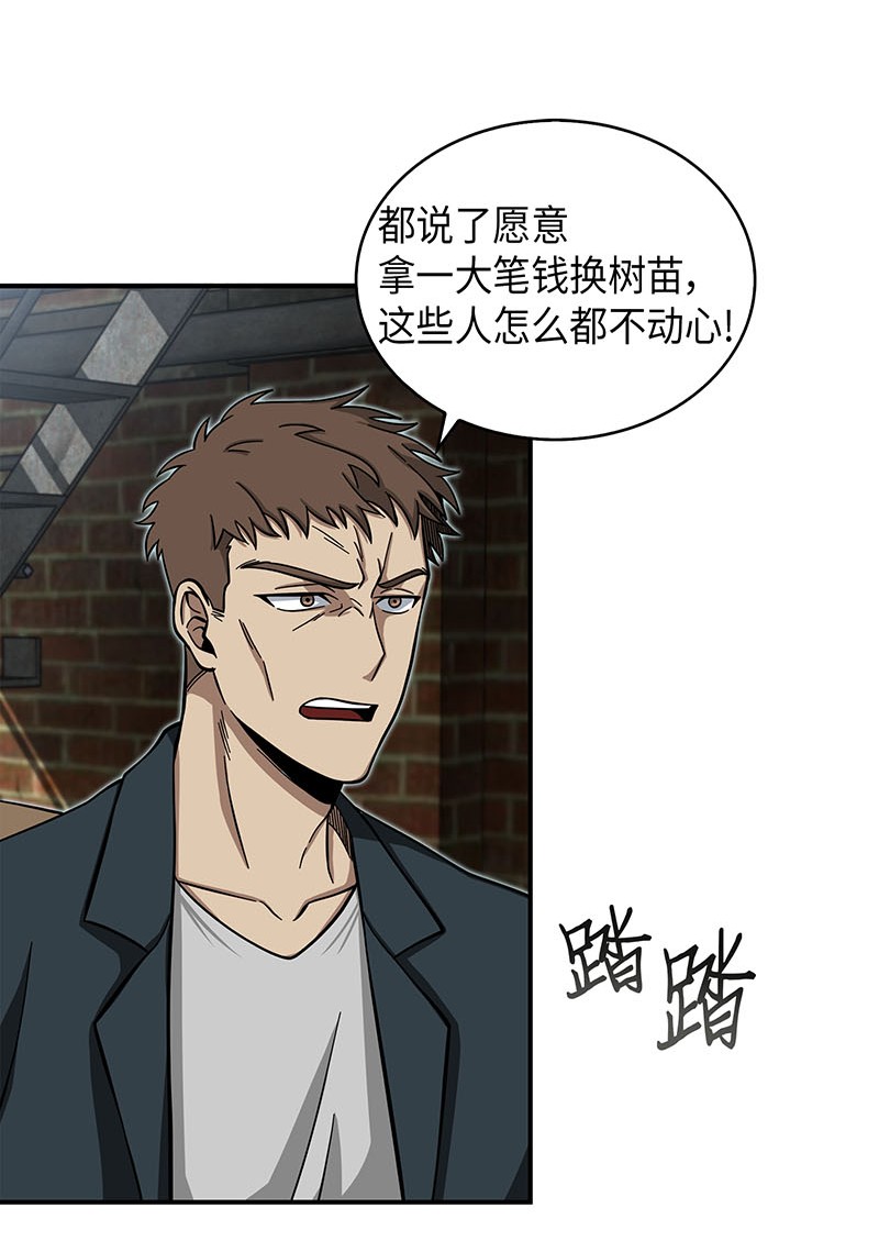 064 唤醒神草55