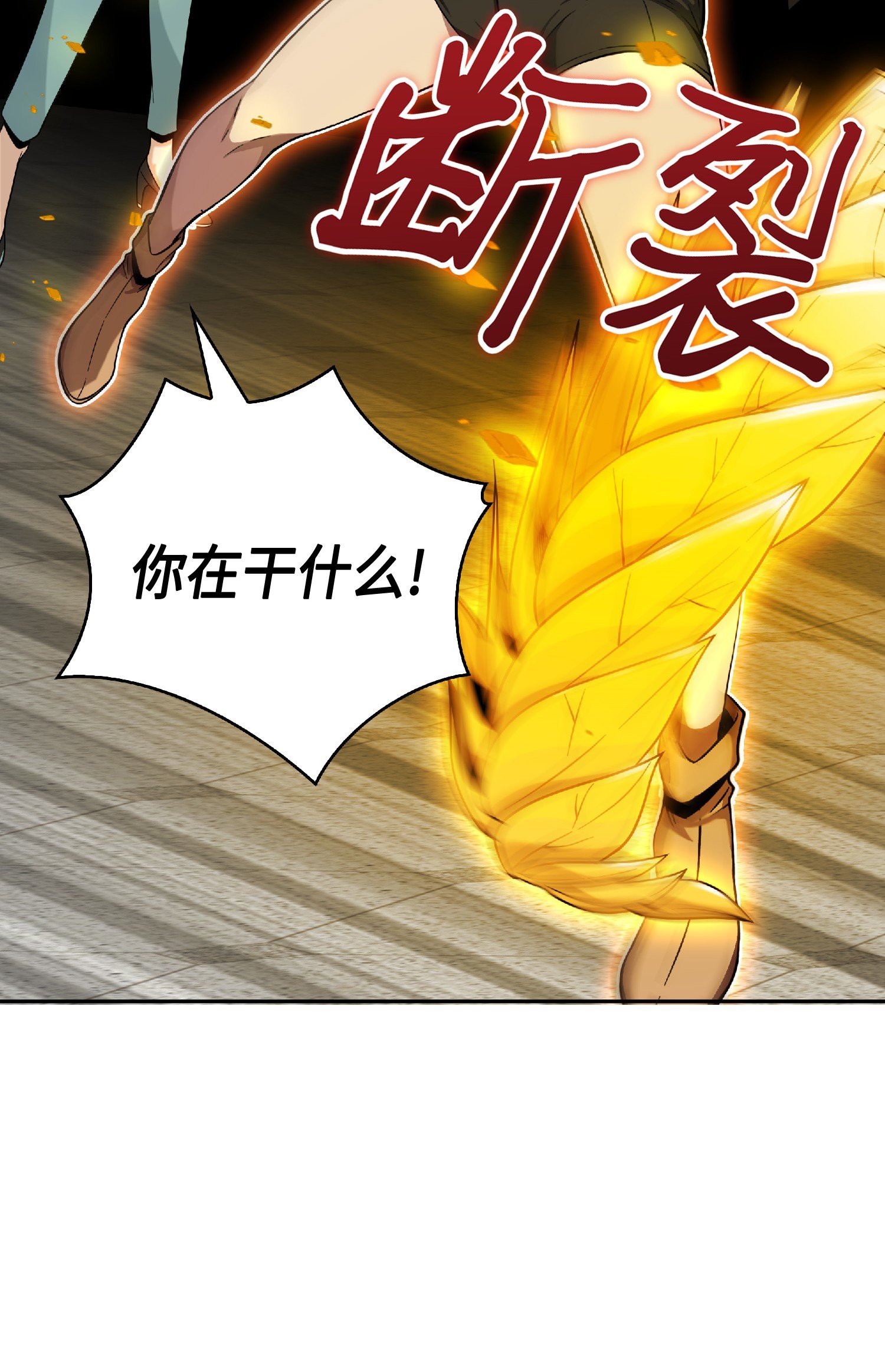 085 骗局的延续10