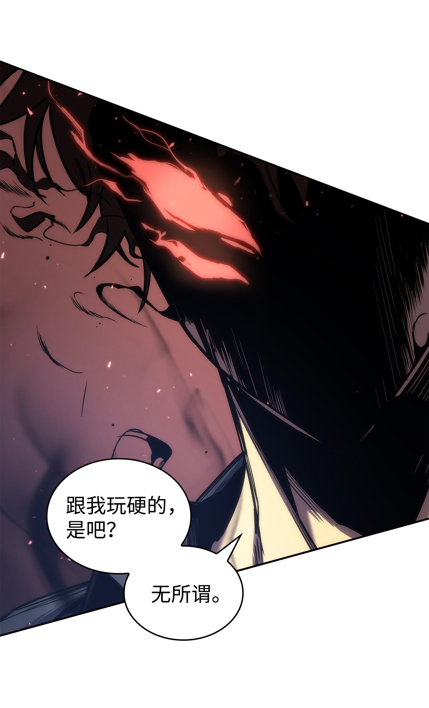 247 乌鸦的目的53