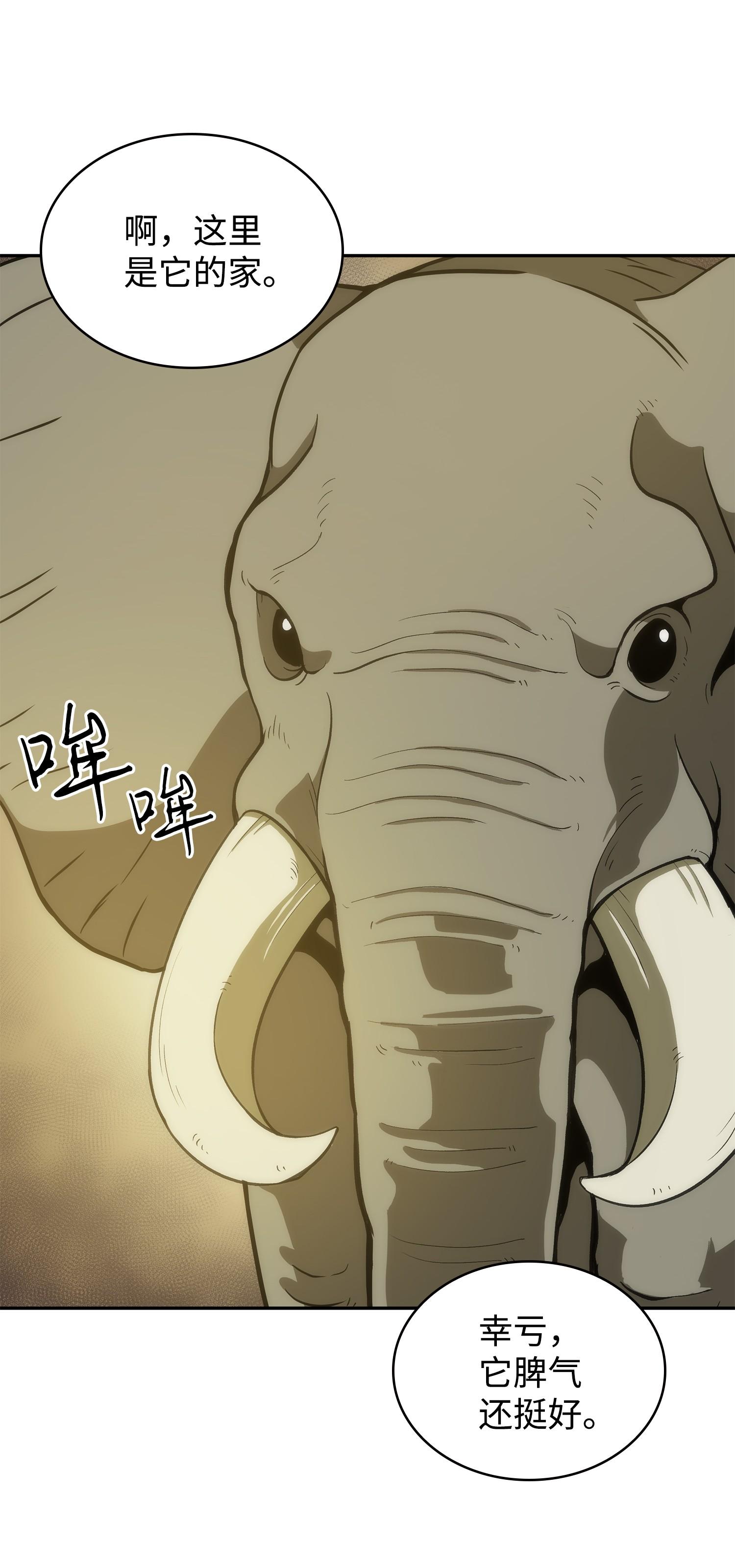 226 同伴53