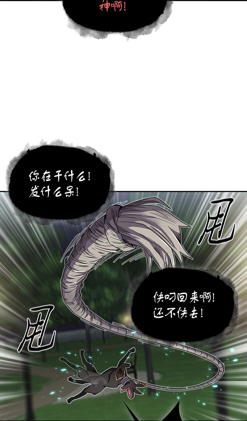 076 训练狗狗28