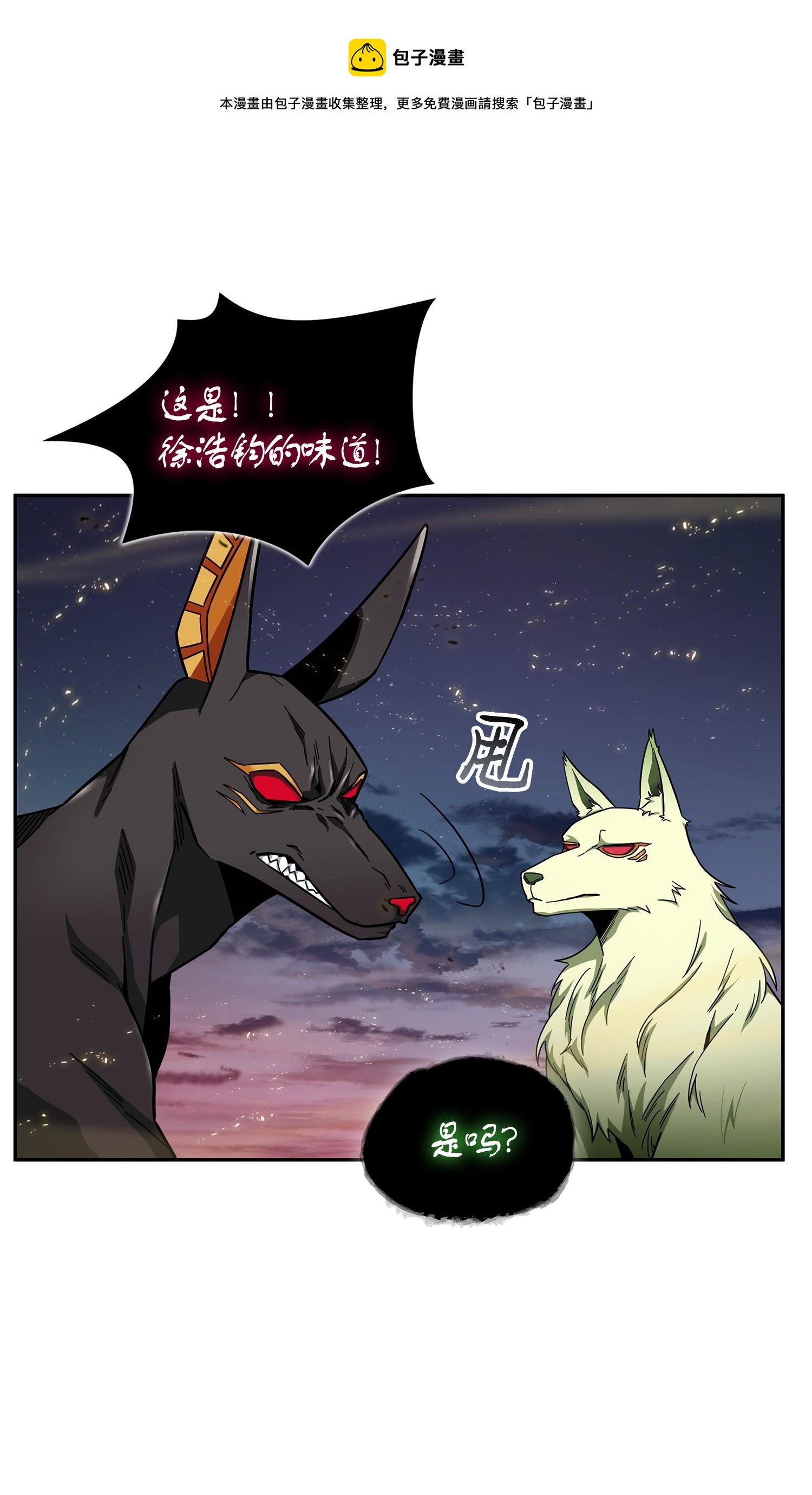 147 伪装20