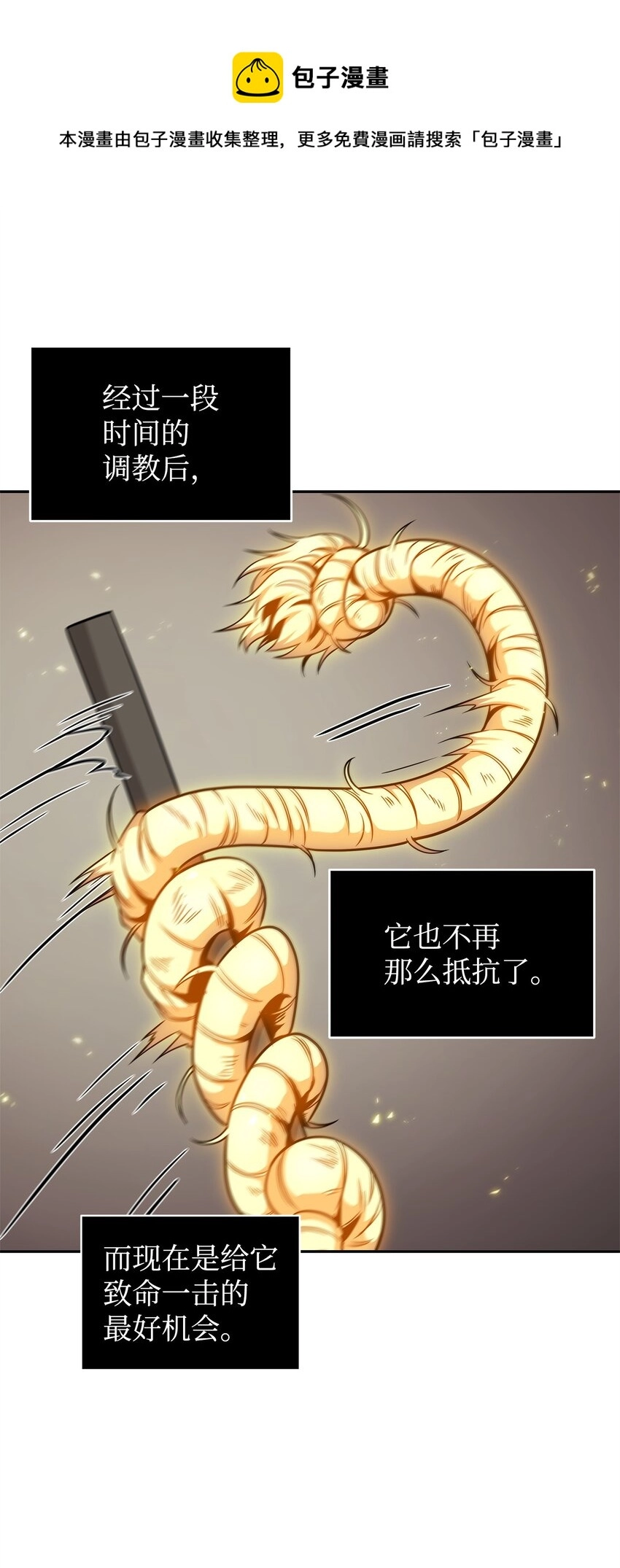 300 服从训练60