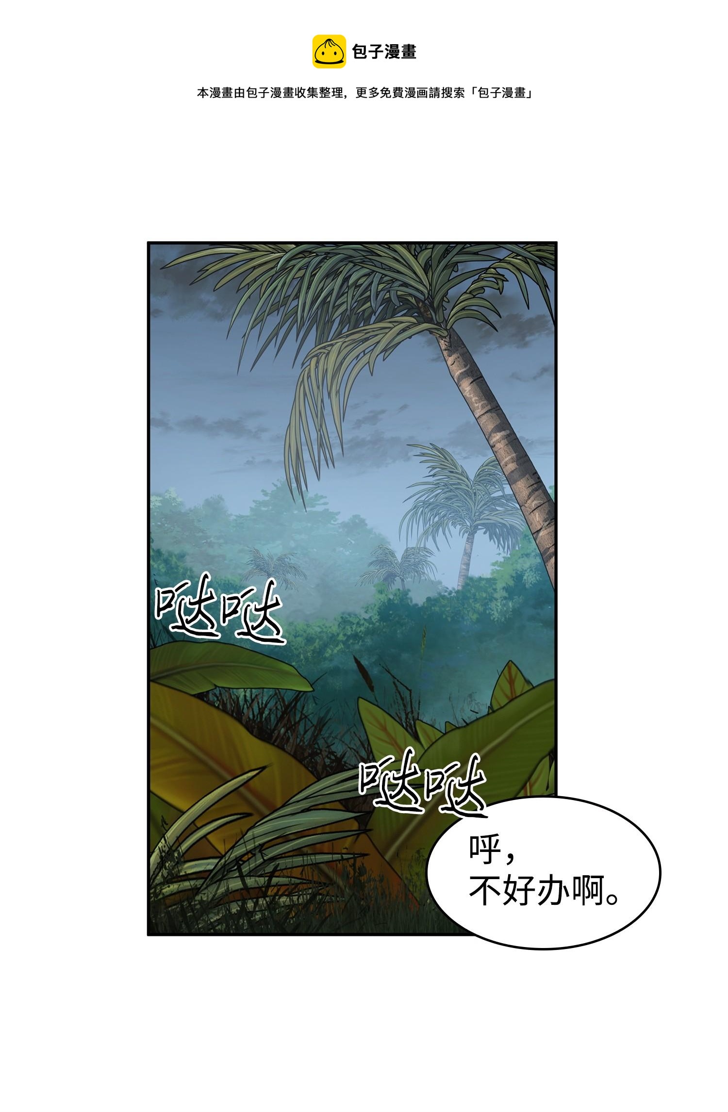 244 乌鸦28
