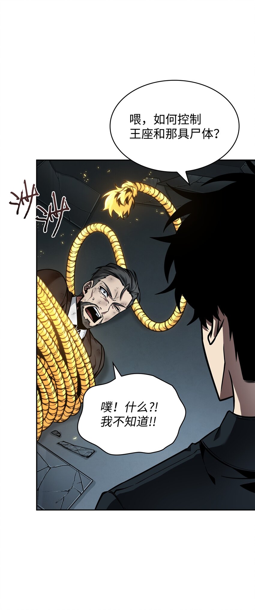 382 真正的王18