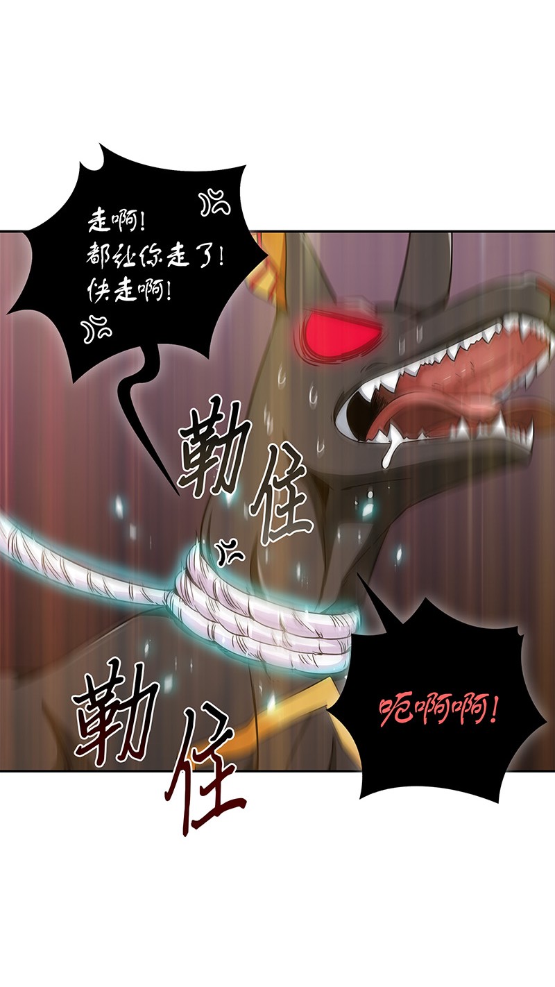 076 训练狗狗19
