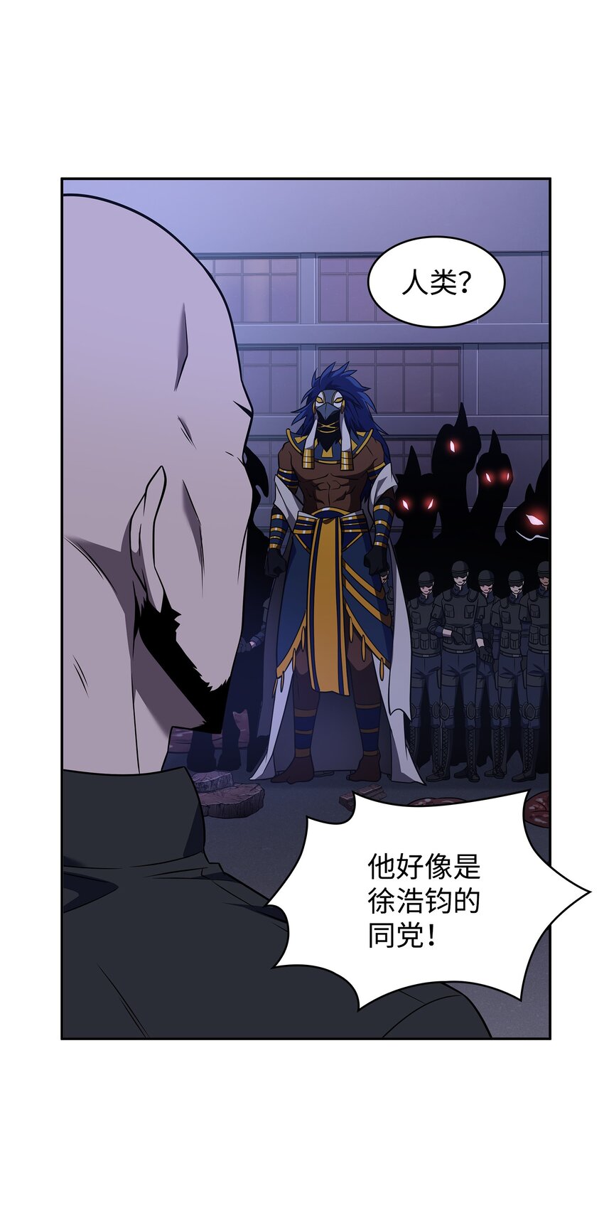 317 全面开打55