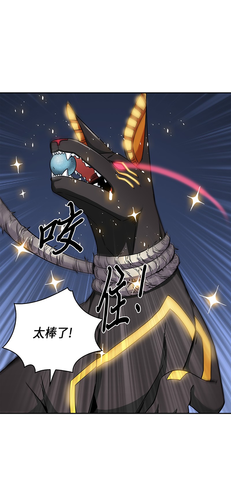 076 训练狗狗35