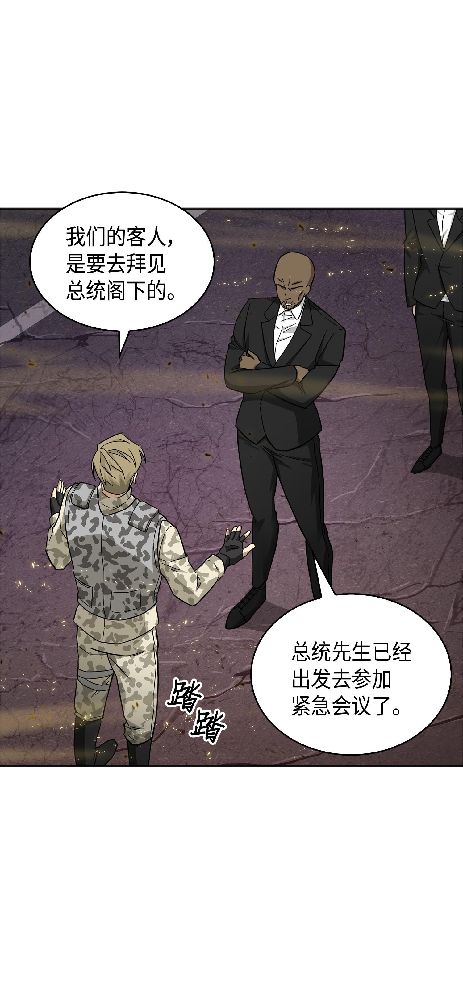 147 伪装63