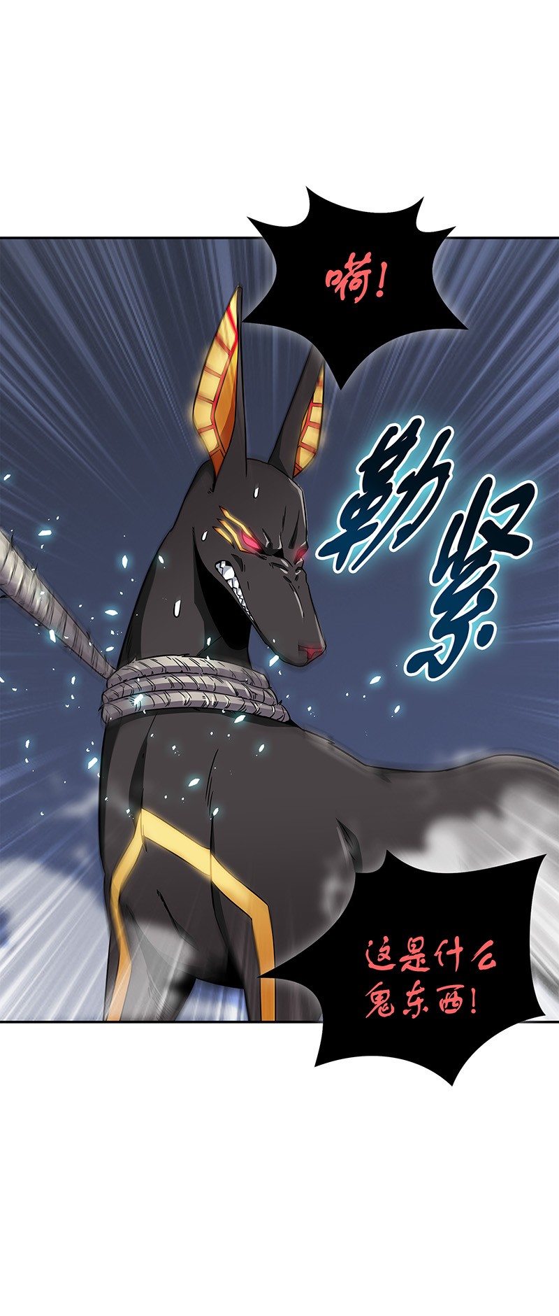 076 训练狗狗17