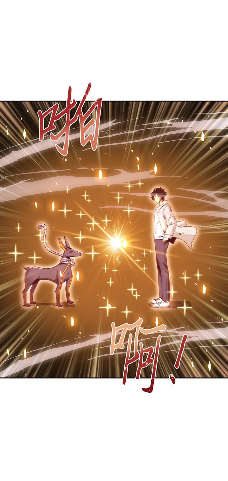 076 训练狗狗41