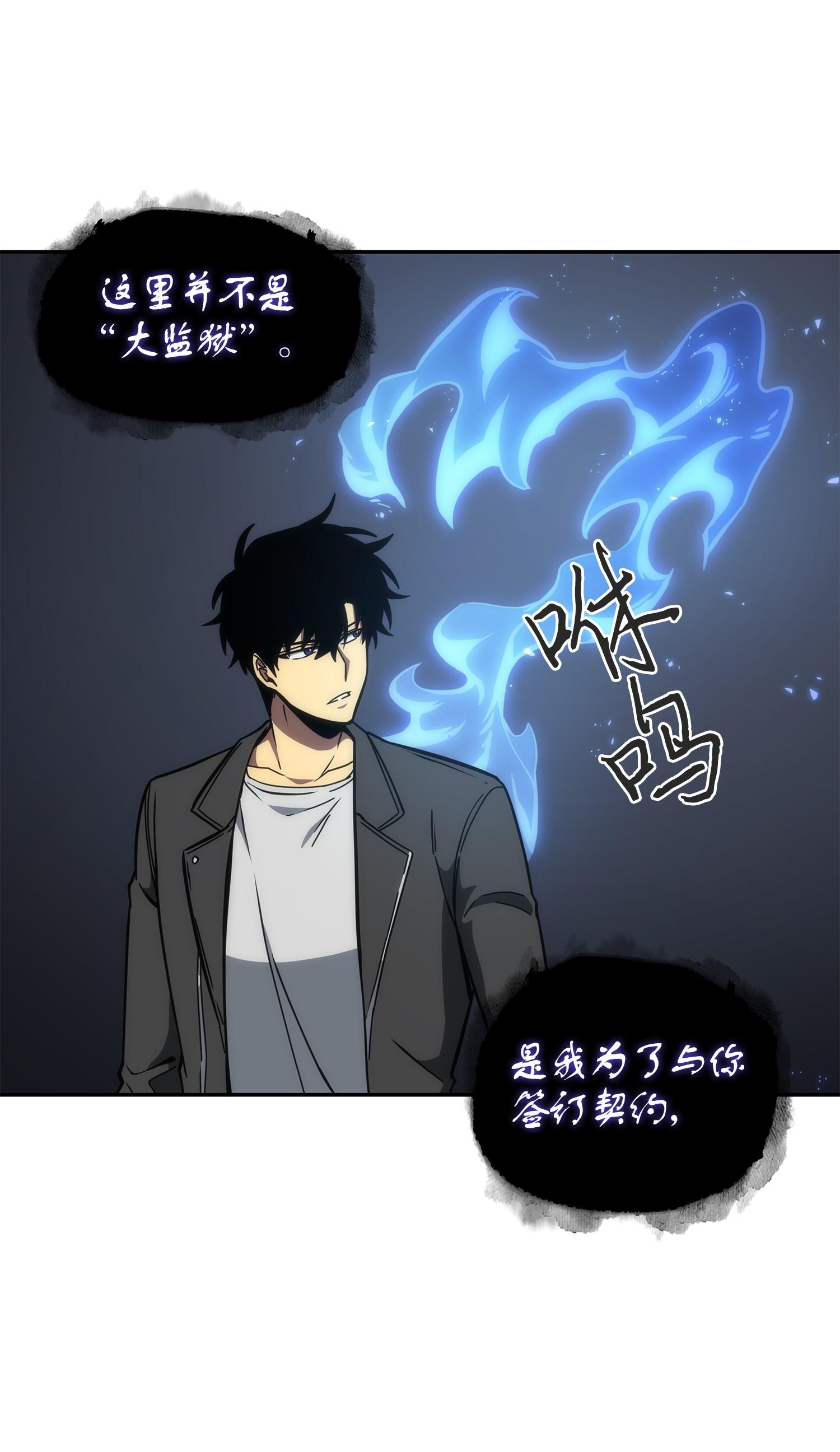 244 乌鸦55