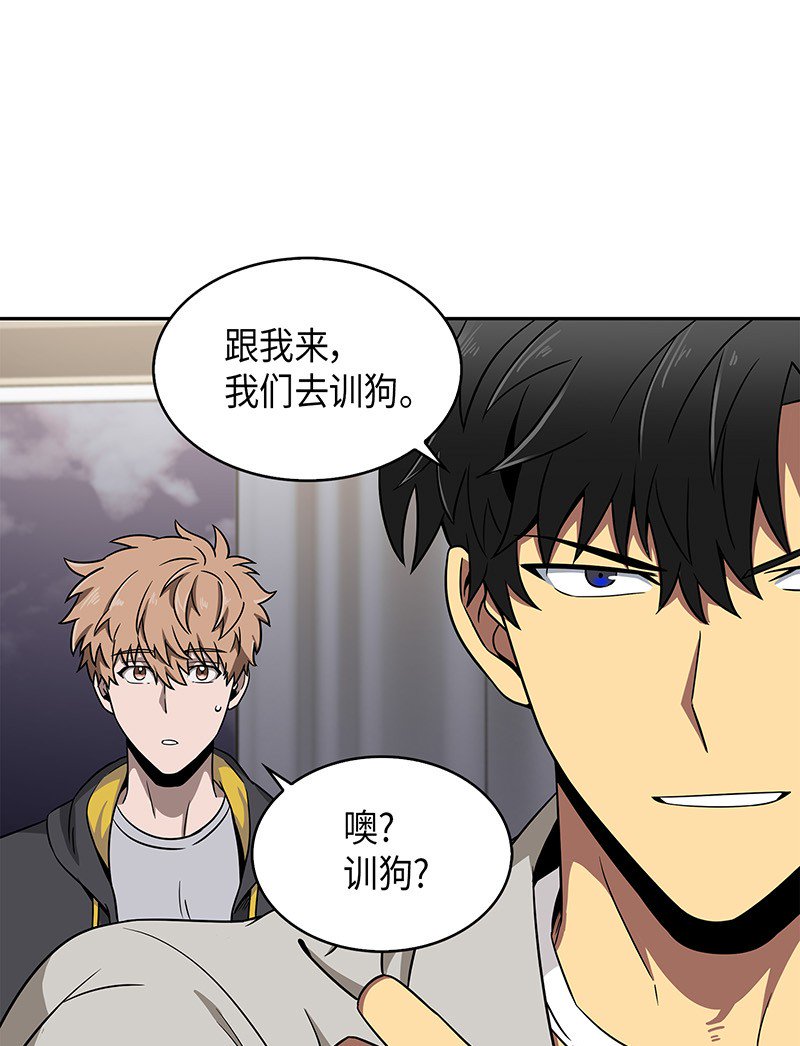 076 训练狗狗4