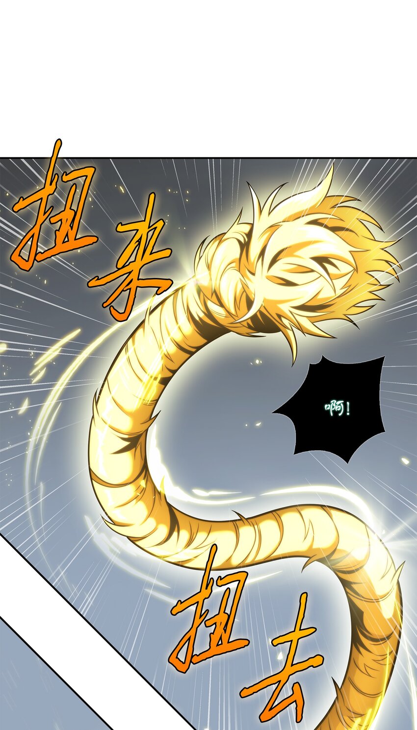 322 至宝绳纹链54