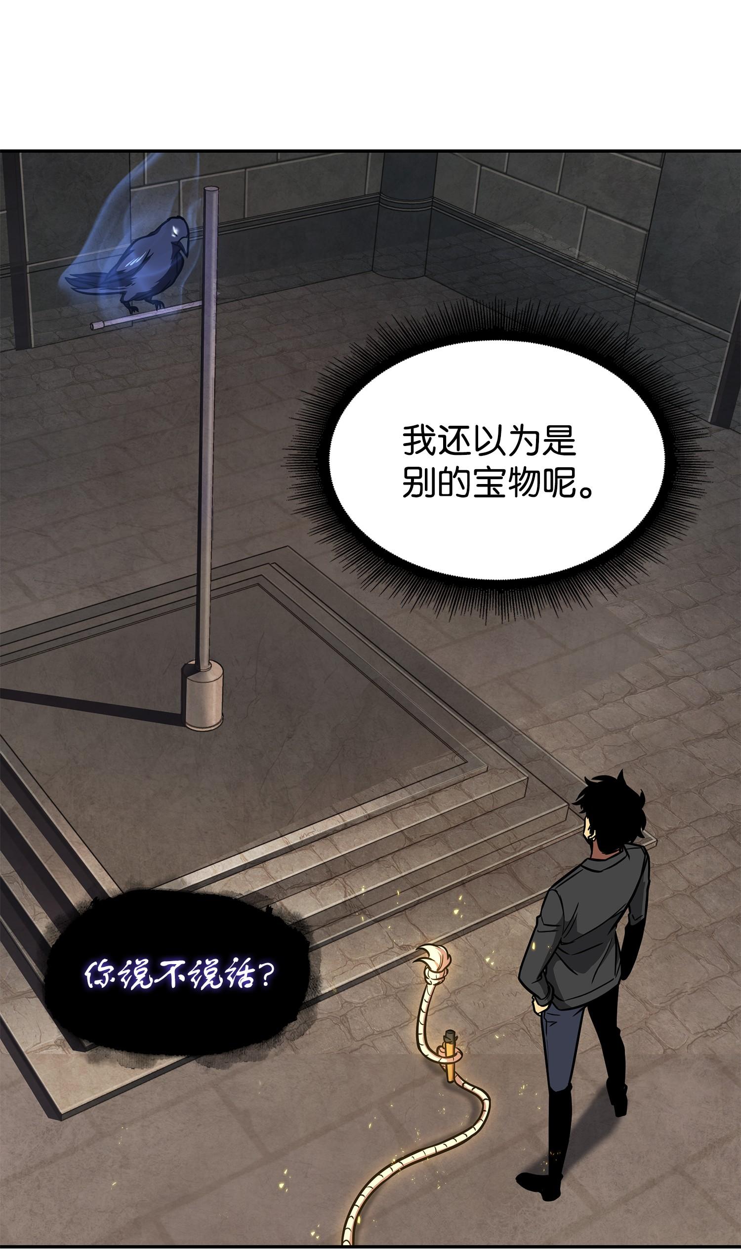 244 乌鸦65