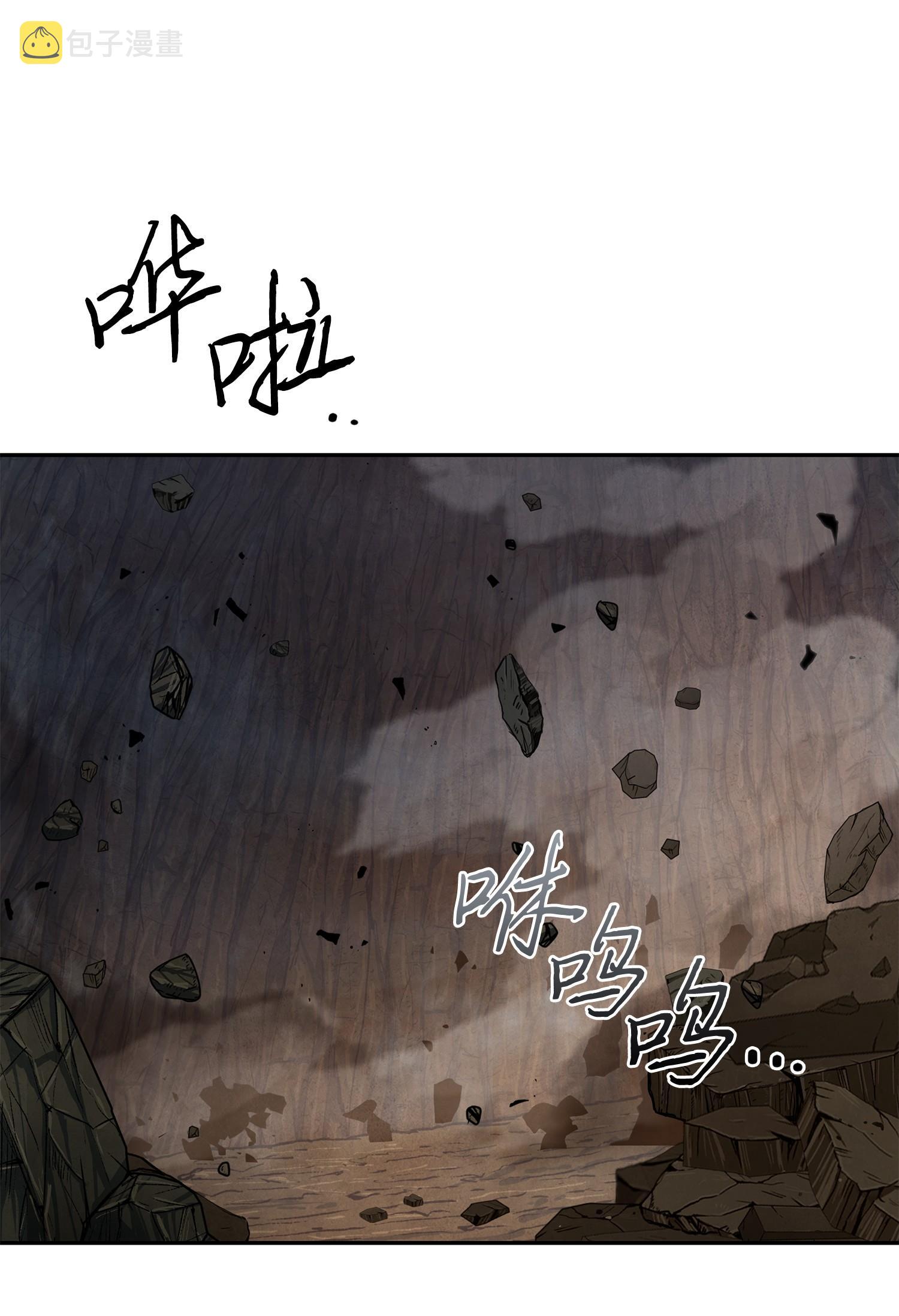 247 乌鸦的目的35