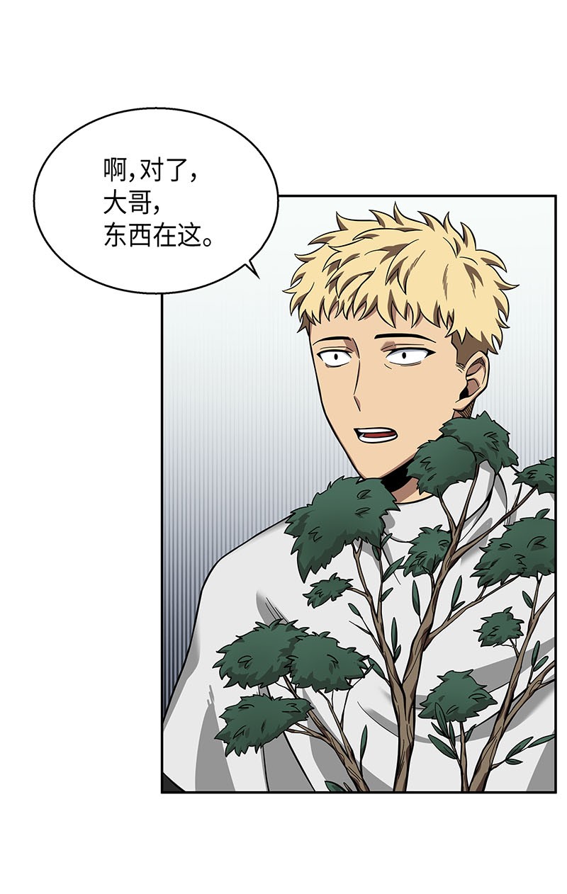 064 唤醒神草87