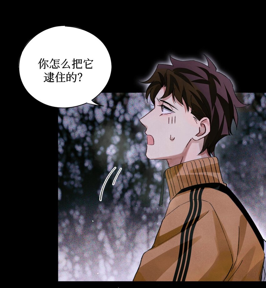 51 正当防卫25