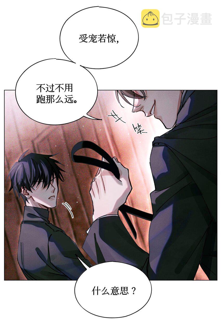 12 回礼9